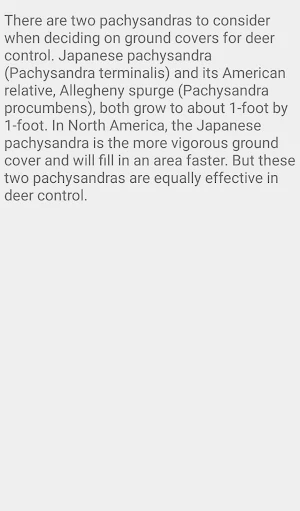 Deer Resistant Cover Plants Screenshot 3