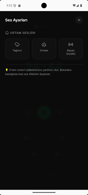 Pomodoro - Odaklan ve Bitir Screenshot 2