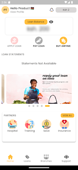 CEMES LOANS Screenshot 2