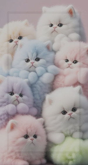 Cute Kitten Wallpaper HD Screenshot 0