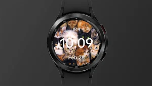 A bunch of cats - Watch Face Screenshot 0