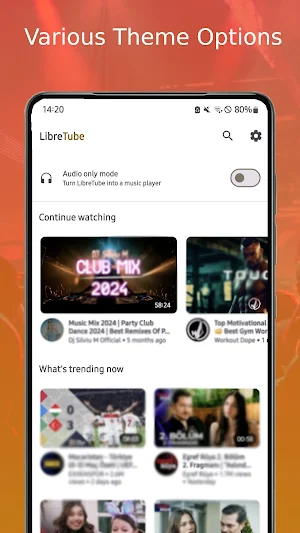 Spotube Screenshot 1