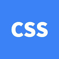 CSS Expert