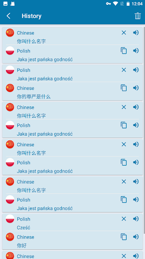 Chinese Polish Translation Screenshot 2