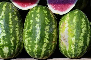 Watermelon wallpapers Screenshot 3