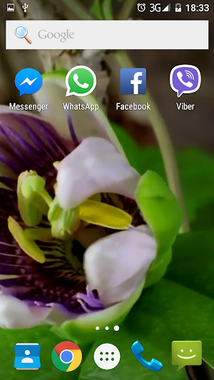 Flowers HD video wallpapers Screenshot 1