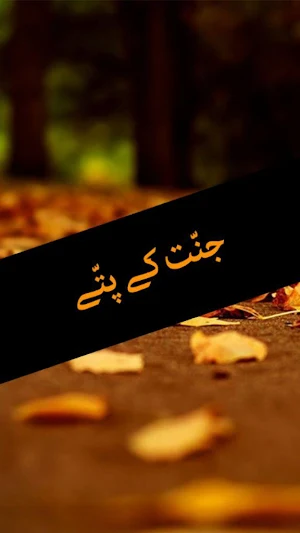 Jannat Ke Pattay by Nimrah Ahmed - Urdu Novel Screenshot 0