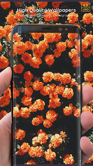 Flower Wallpapers 8K ULTRA Screenshot 3