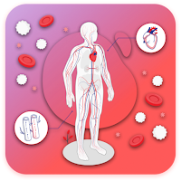 Body System & Anatomy Learning
