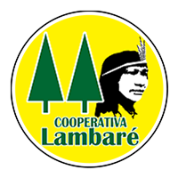 Lambare Digital