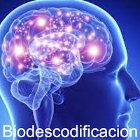 Diccionario de Bio