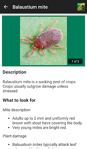 MyCrop Canola Screenshot 3