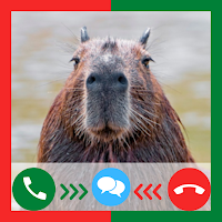 Capybara Funny Fake Call &chat