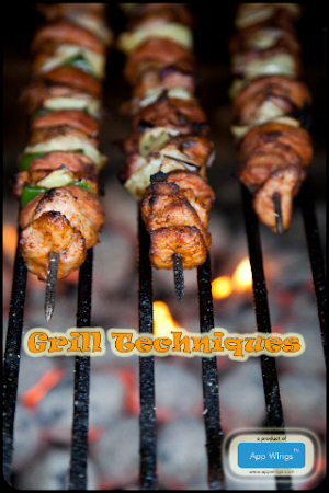 Grill Techniques Screenshot 0