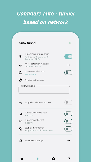 Vireon VPN Screenshot 1