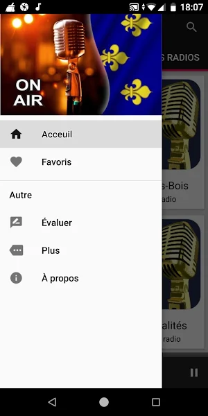 Stations Radio de Île-de-Franc Screenshot 2