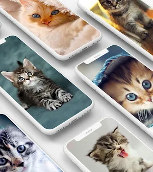 Cute Kitten Wallpaper Screenshot 1