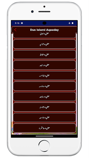 Islami Aqaid | دس اسلامی عقیدے Screenshot 1