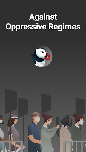 Puffin Incognito Browser Screenshot 3