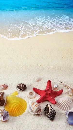 Beach Video Wallpapers Screenshot 0