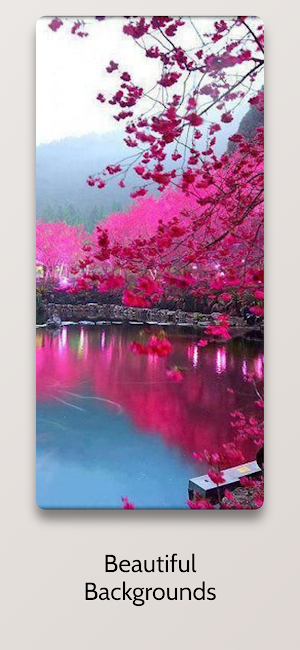 HD Landscape Live Wallpaper Screenshot 1