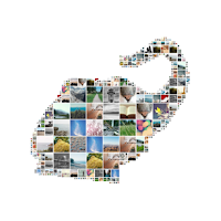 Huge Collage Maker