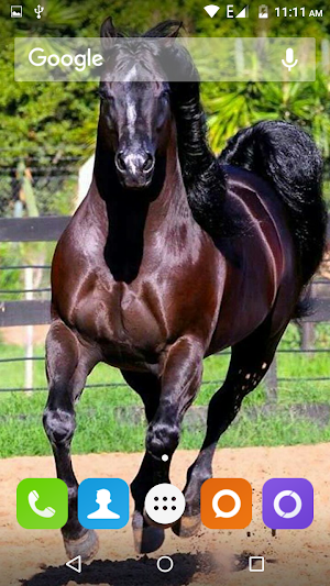 Horse Hd Wallpaper Screenshot 0