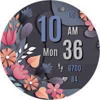 NXV80 Vibrant Watch Face