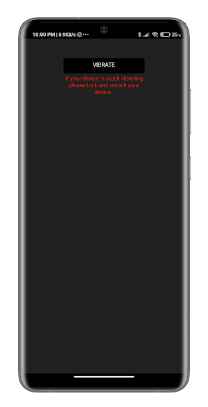 Vibration Test Screenshot 1