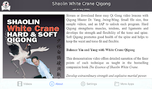 Shaolin Crane Qigong Screenshot 1