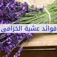فوائد شرب الخزامى