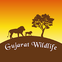 Gujarat Wildlife - Forest