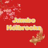 Jumbo Holbrooks Takeaway