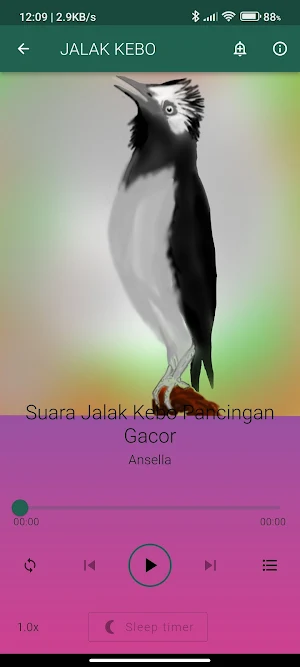 Suara Burung Jalak Gacor Screenshot 1