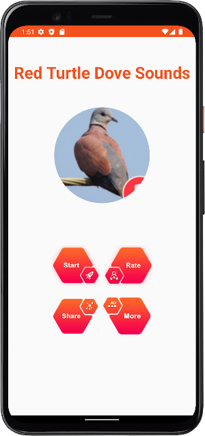 Red Turtle Dove Sounds Screenshot 1