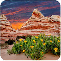 Desert Wallpapers