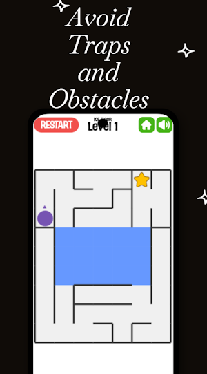Maze Puzzle Pro : Path Finder Screenshot 3
