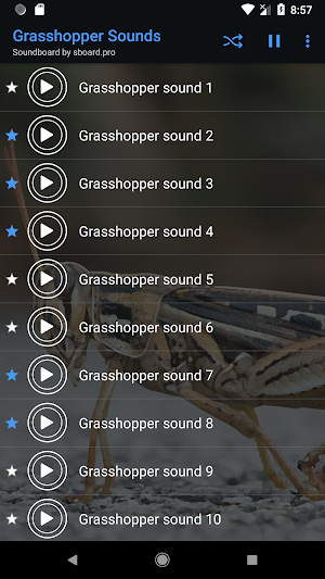 Grasshopper Sounds ~ Sboard.pro Screenshot 3