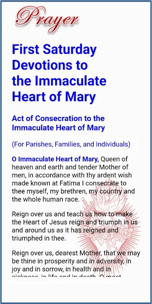 Immaculate Heart of Mary Screenshot 2