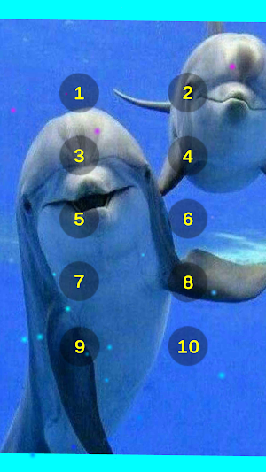 Dolphin Sounds Of The Sea Screenshot 2