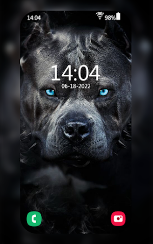 Pitbull Wallpapers Screenshot 1