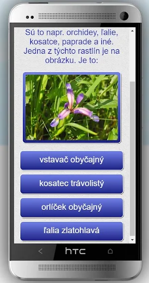 Veľká Javorina, Lubina Screenshot 1