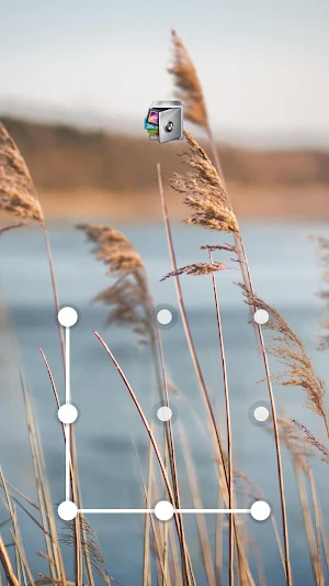 AppLock Live Theme Reeds Screenshot 0