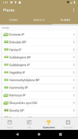 Stockholm Football Cup Screenshot 2