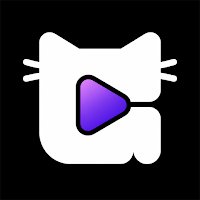 Gato Video: HD video