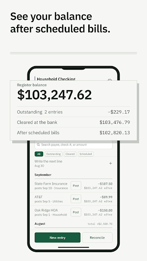 BalanceWright: Check Register Screenshot 3