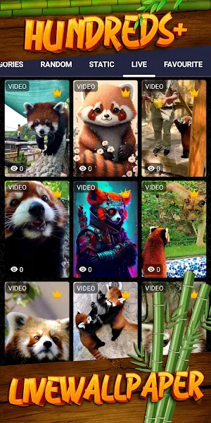 red panda wallpaper Screenshot 2