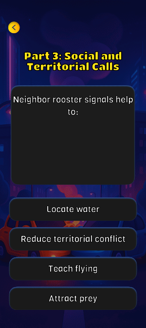 KoKo Win! Screenshot 2