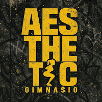 AESTHETIC GYM