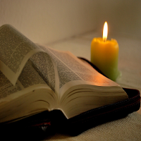 La Biblia Paralela Española - 